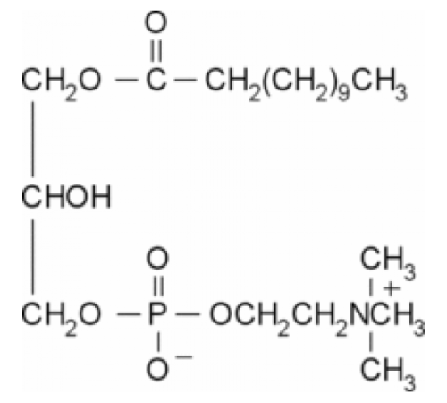 1-Додеканоил-sn-глицеро-3-фосфохолин ~ 99% Sigma L5629