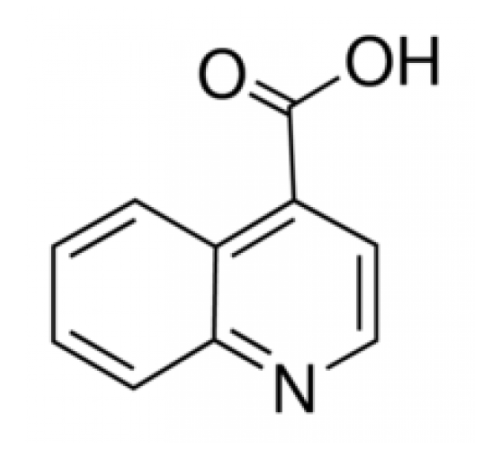 Хинолин-4-карбоновой кислоты, 98 +%, Alfa Aesar, 250 мг