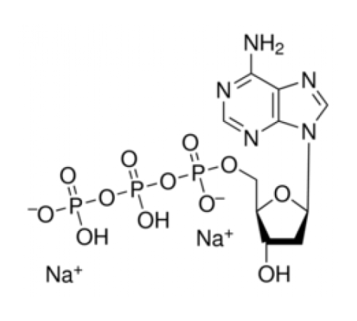 2'-дезоксиаденозин-5'-трифосфат динатриевой соли, 98%, Alfa Aesar, 25 мг