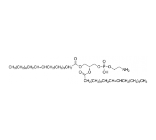 1,2-диерукоил-sn-глицеро-3-фосфоэтаноламин 98% (ТСХ) Sigma 74576