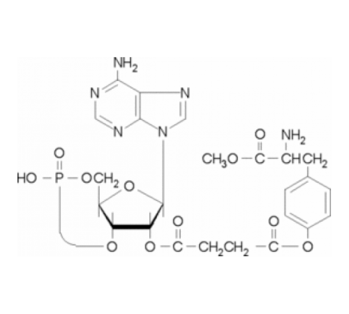 2'-O-Моносукциниладенозин 3 ': 5'-циклический монофосфатный тирозилметиловый эфир ~ 95% Sigma M2257