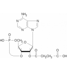 2'-O-Моносукциниладенозин 3 ': 5'-циклический монофосфат 98% Sigma M9131