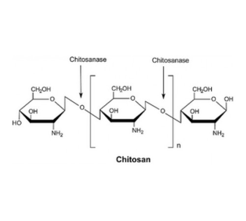 Хитозаназа из лиофилизированного порошка Streptomyces griseus,> 50 мкг / мг белка (Bradford) Sigma C9830