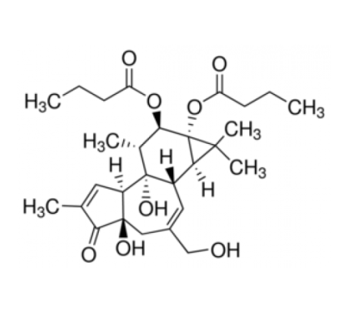 Форбол 12,13-дибутират 98% (ТСХ), порошок Sigma P1269