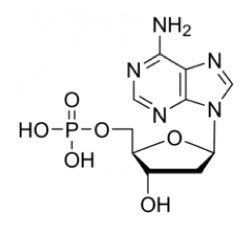 2'-дезоксиаденозин-5'-монофосфат, 98%, Alfa Aesar, 25 г