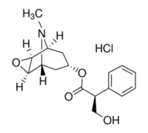 (β Скополамина гидрохлорид 90% (ВЭЖХ), порошок Sigma S1013