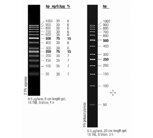 Маркер длин ДНК GeneRuler 50 bp, 13 фрагментов от 50 до 1000 п.н., готовый к применению, 0,1 мкг/мкл, Thermo FS