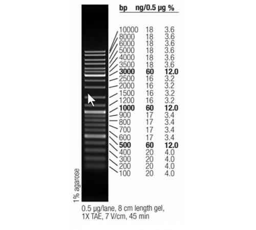 Маркер длин ДНК GeneRuler Mix, 15 фрагментов от 100 до 10000 п.н., 0,5 мкг/мкл, Thermo FS