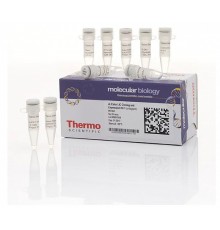 Набор для безлигазного клонирования aLICator LIC Cloning and Expression Kit 1, Thermo FS